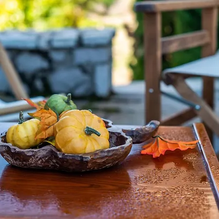 Livadi Cozy Chalet