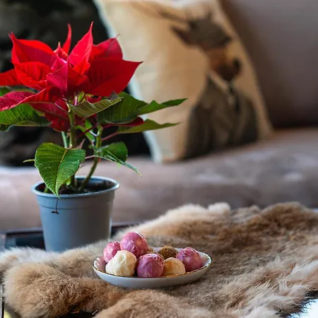 Livadi Cozy